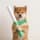 baton