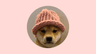 Dogwifhat