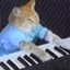 Keyboard Cat