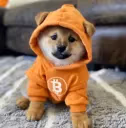 Dog Bitcoin